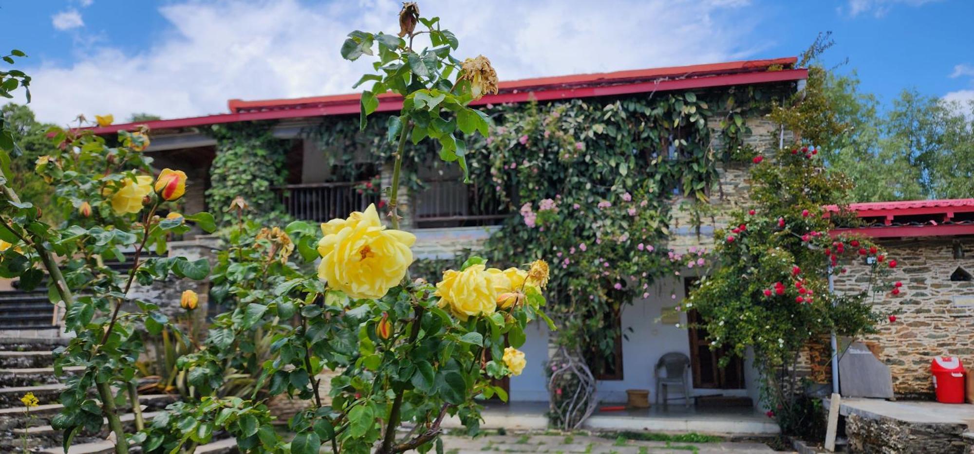 Dunagiri Retreat Dwarahat Екстер'єр фото